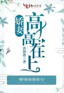 娇妻高高在上